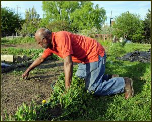 Four Surprising Benefits of Gardening for Seniors